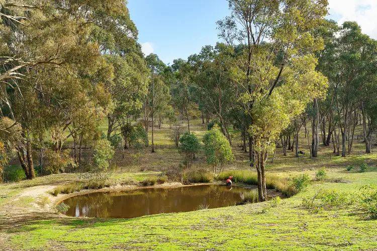 Seventh view of Homely land listing, Crown Allotment 251 Lemon Street, Campbells Creek VIC 3451