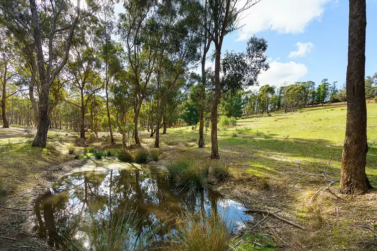 Fifth view of Homely land listing, Crown Allotment 252 Lemon Street, Campbells Creek VIC 3451