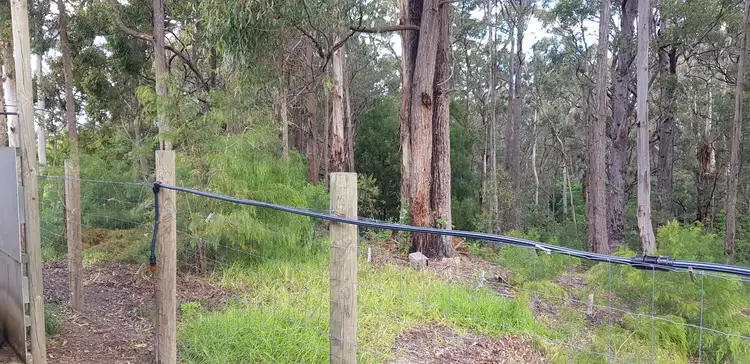 Fifth view of Homely land listing, 99 Mirrabooka Road, Mallacoota VIC 3892