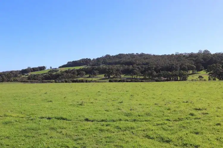 Fourth view of Homely rural property listing, 1531 Valley of the Giants Rd, Denmark WA 6333