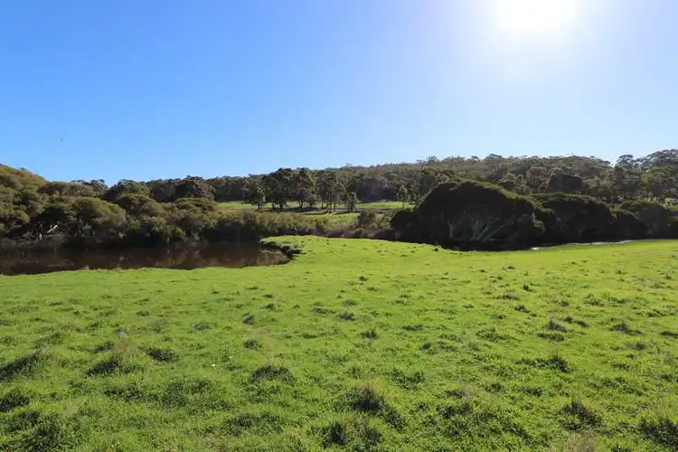 Fifth view of Homely rural property listing, 1531 Valley of the Giants Rd, Denmark WA 6333