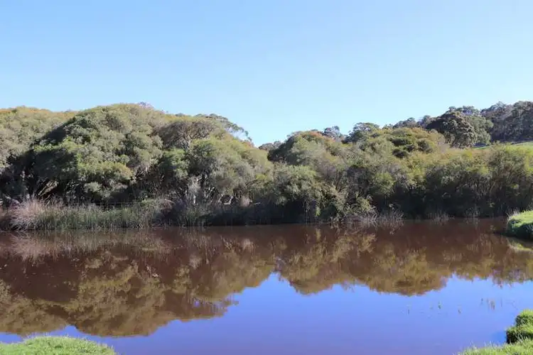 Sixth view of Homely rural property listing, 1531 Valley of the Giants Rd, Denmark WA 6333