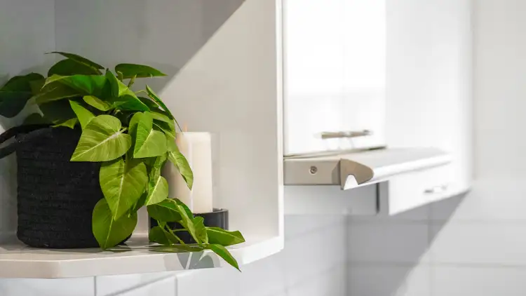 Fifth view of Homely apartment listing, 3/27 Sycamore Grove, Balaclava VIC 3183