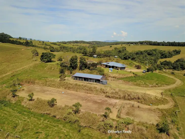 Sixth view of Homely rural property listing, 3794 Gillies Range Road, Yungaburra QLD 4884