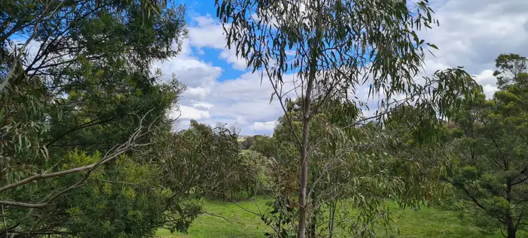Third view of Homely rural property listing, 165 GHIN GHIN ROAD, Whiteheads Creek VIC 3660