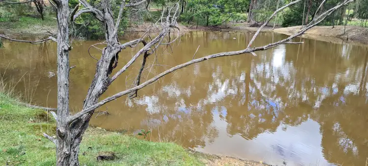 Sixth view of Homely rural property listing, 165 GHIN GHIN ROAD, Whiteheads Creek VIC 3660