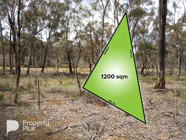 LOT 2/2 Alice Street, Dunolly VIC 3472