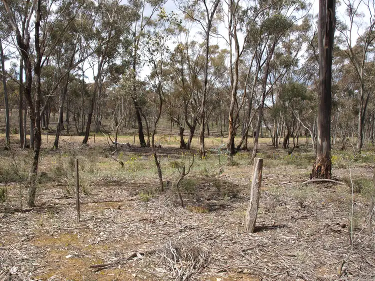 Fifth view of Homely land listing, LOT 2/2 Alice Street, Dunolly VIC 3472
