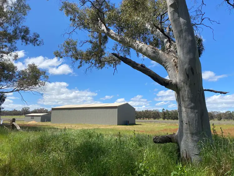 Second view of Homely rural property listing, 95 Curtis Road, Lamplough VIC 3352