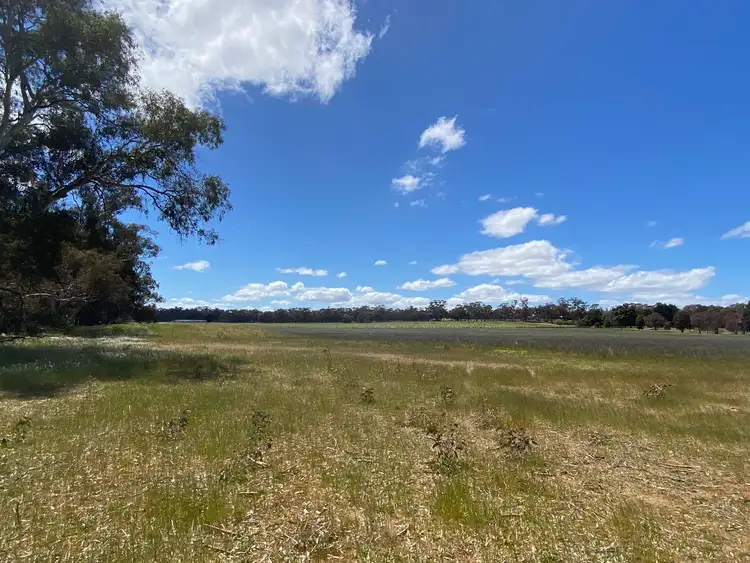 Sixth view of Homely rural property listing, 95 Curtis Road, Lamplough VIC 3352