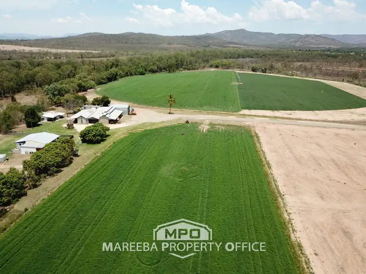 81 Davenport Road, Dimbulah QLD 4872
