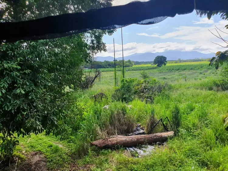 Second view of Homely rural property listing, 53 Hamilton Road, Glen Boughton QLD 4871