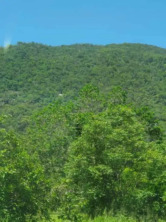 Third view of Homely rural property listing, 53 Hamilton Road, Glen Boughton QLD 4871