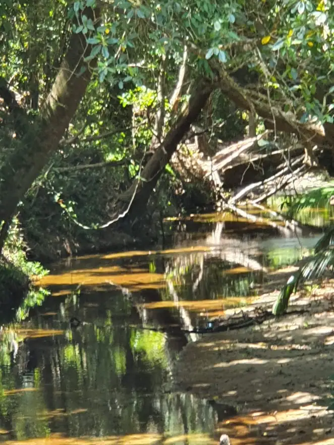 Fifth view of Homely rural property listing, 53 Hamilton Road, Glen Boughton QLD 4871