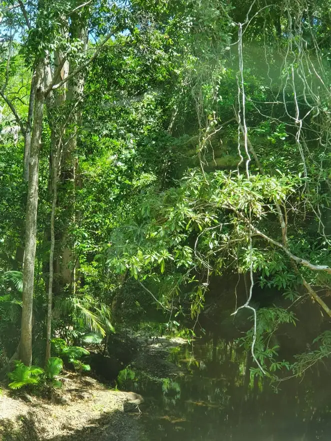 Sixth view of Homely rural property listing, 53 Hamilton Road, Glen Boughton QLD 4871