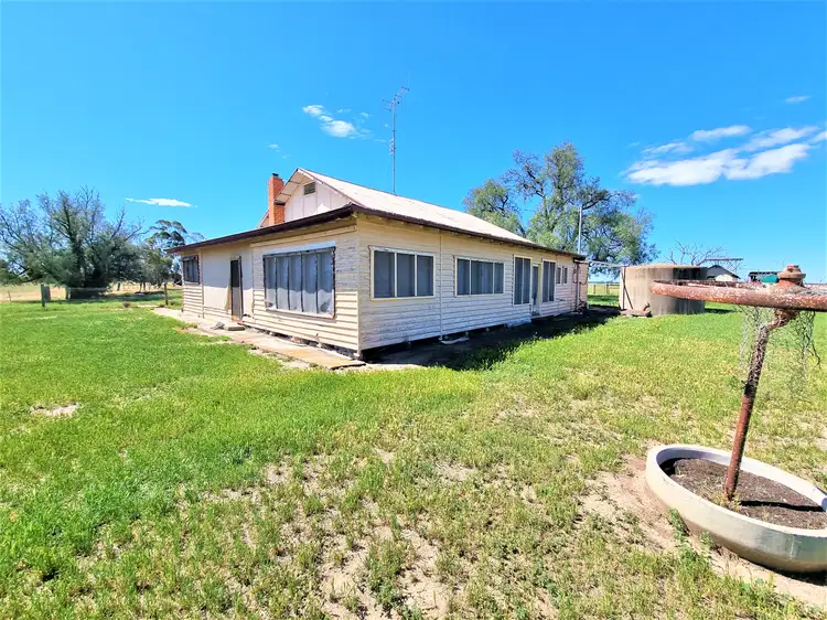 Main view of Homely rural property listing, 1728 Kerang-Murrabit Road, Kerang VIC 3579