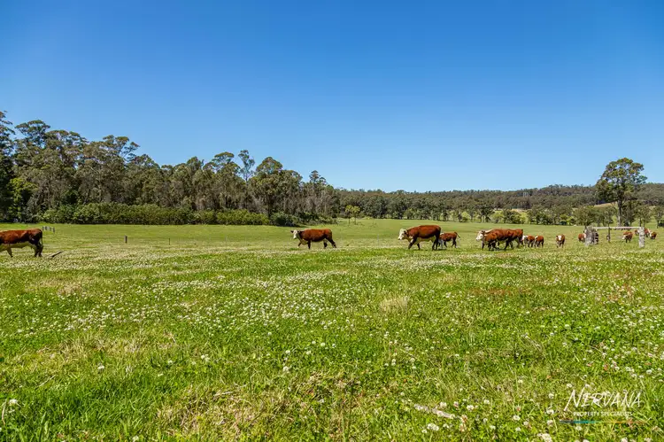 Second view of Homely rural property listing, Lemon Tree Creek Road, Lake Tabourie NSW 2539