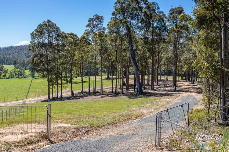 Fourth view of Homely rural property listing, Lemon Tree Creek Road, Lake Tabourie NSW 2539