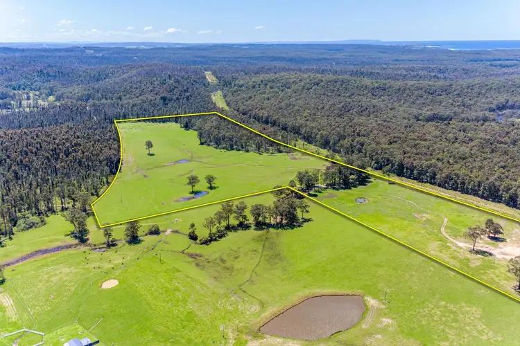 Seventh view of Homely rural property listing, Lemon Tree Creek Road, Lake Tabourie NSW 2539