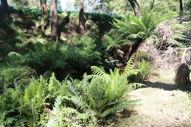 Third view of Homely house listing, 221 Ferny Bridge Road, Forest TAS 7330
