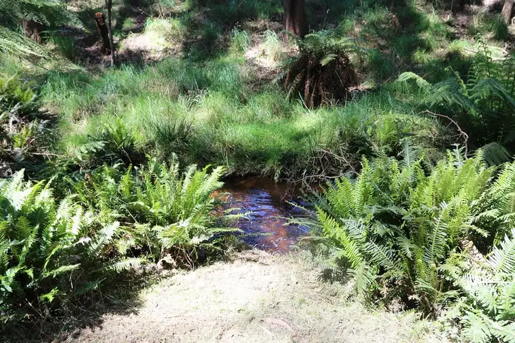 Fourth view of Homely house listing, 221 Ferny Bridge Road, Forest TAS 7330