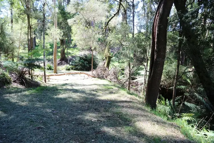 Sixth view of Homely house listing, 221 Ferny Bridge Road, Forest TAS 7330