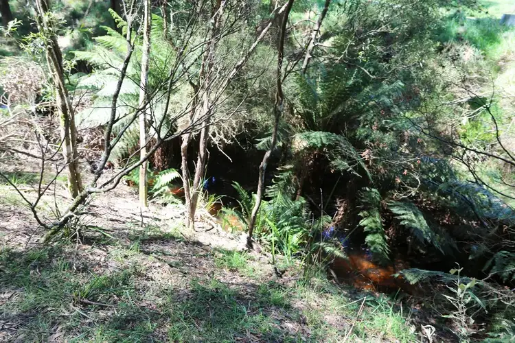 Seventh view of Homely house listing, 221 Ferny Bridge Road, Forest TAS 7330