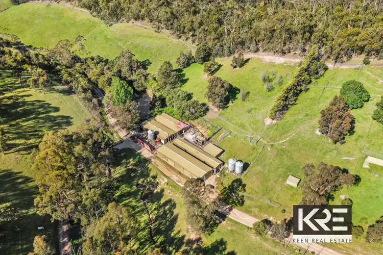 Fourth view of Homely rural property listing, 431 Steels Creek Road, Steels Creek VIC 3775