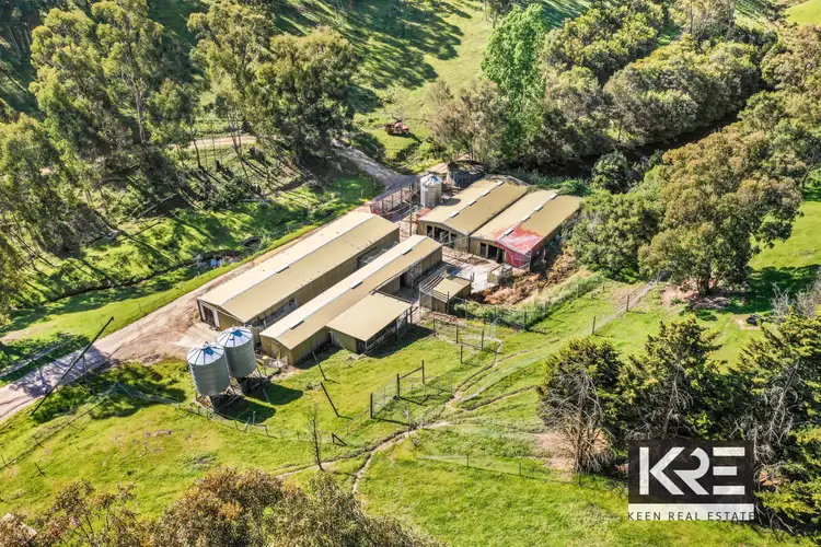 Fifth view of Homely rural property listing, 431 Steels Creek Road, Steels Creek VIC 3775