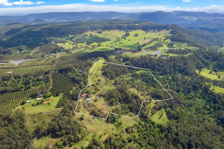 Third view of Homely rural property listing, 711 Mountain Top Road, Stony Chute NSW 2480