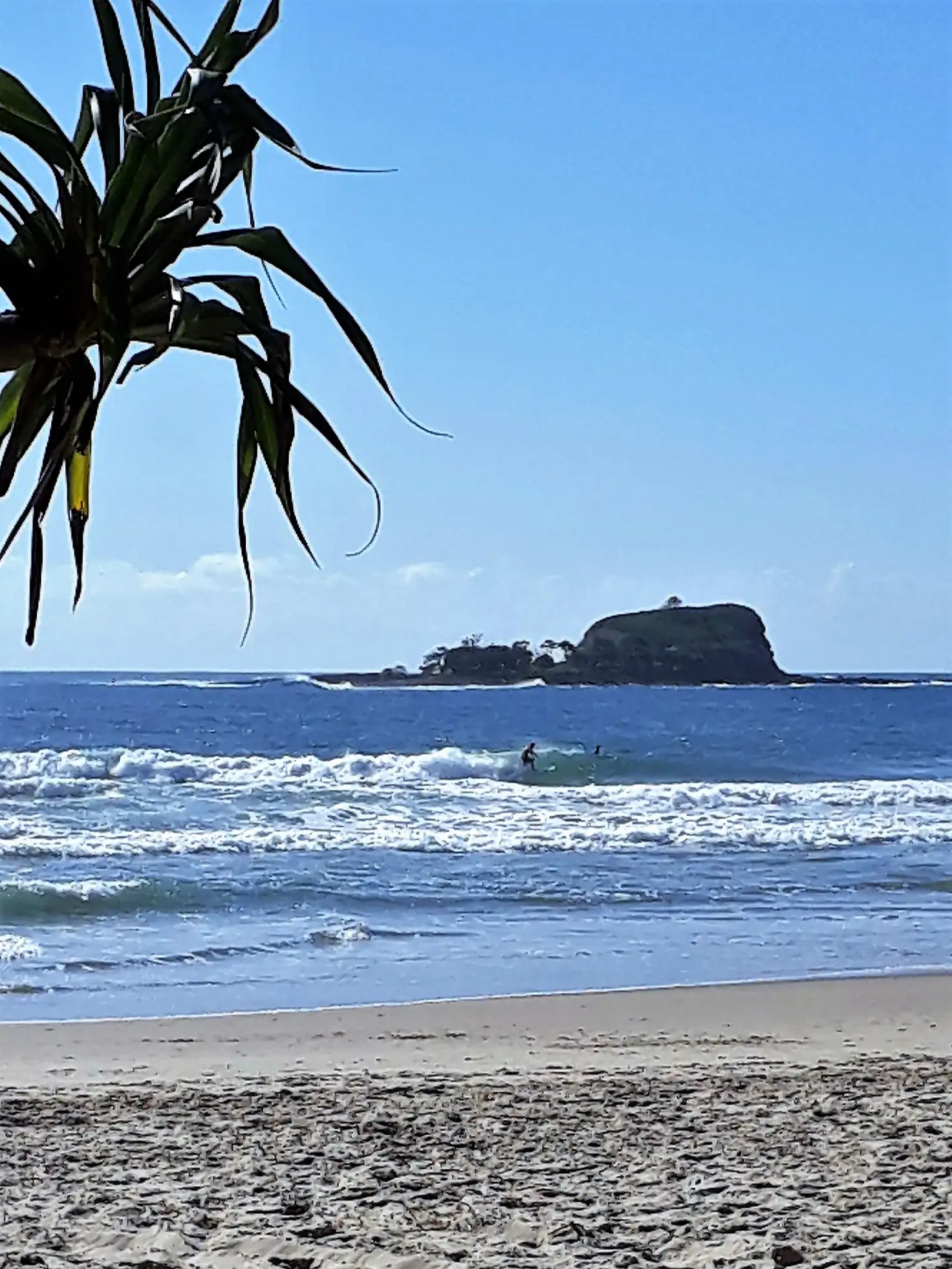 Main view of Homely semi-detached listing, 1/14 CATALINA DRIVE, Mudjimba QLD 4564