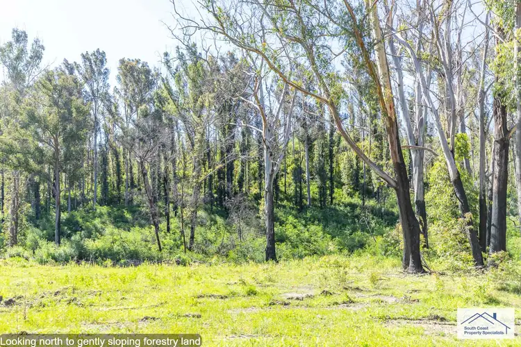 Seventh view of Homely land listing, 416 MAULBROOKS ROAD, Mogo NSW 2536