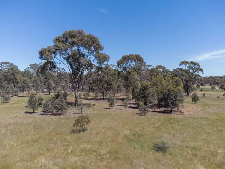 Second view of Homely rural property listing, 63 Cortesi Road, Bealiba VIC 3475