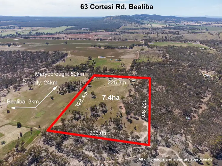 Third view of Homely rural property listing, 63 Cortesi Road, Bealiba VIC 3475