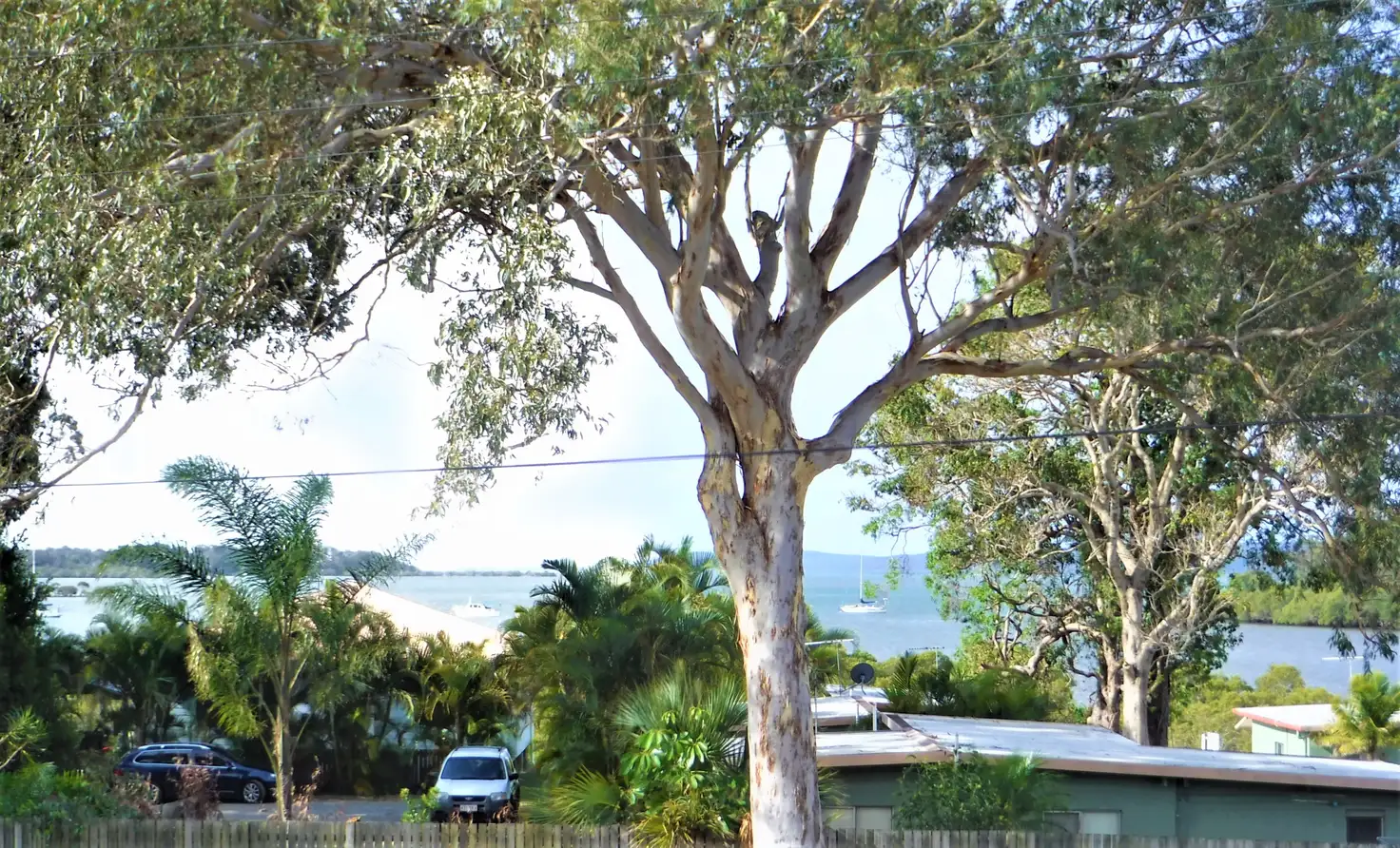 Main view of Homely house listing, 18 WILMA CRESCENT, Russell Island QLD 4184
