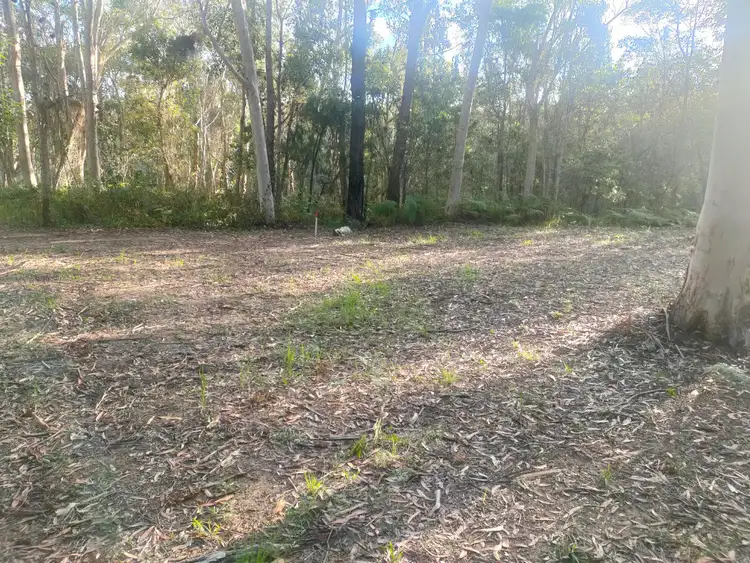 Sixth view of Homely land listing, 43 Forest Hill Road, Russell Island QLD 4184