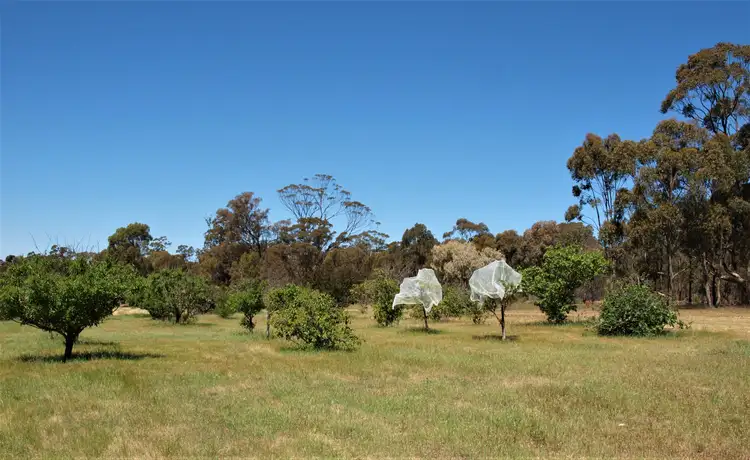 Sixth view of Homely land listing, 3272 Avoca-Bealiba Road, Bealiba VIC 3475