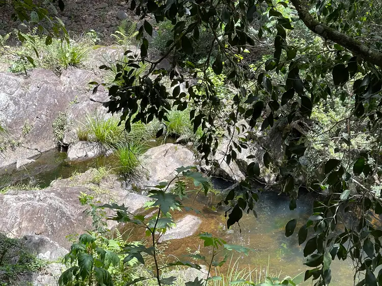 Sixth view of Homely land listing, 66 Basin Road, Wamuran Basin QLD 4512