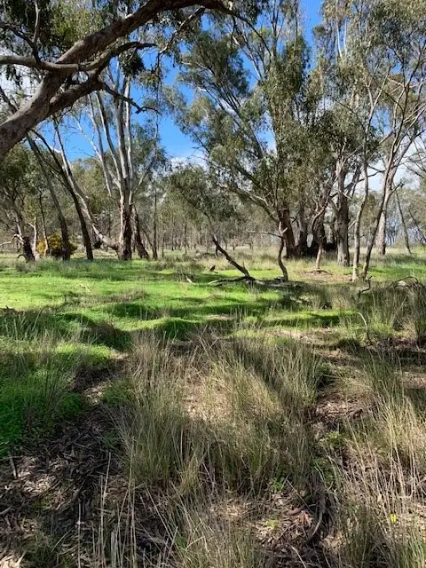 Main view of Homely land listing, 20 Maxwells Lane, Korong Vale VIC 3520