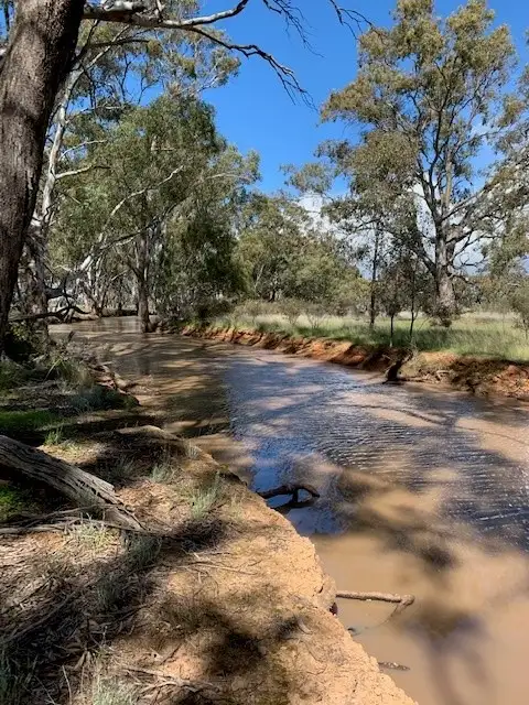 Fourth view of Homely land listing, 20 Maxwells Lane, Korong Vale VIC 3520