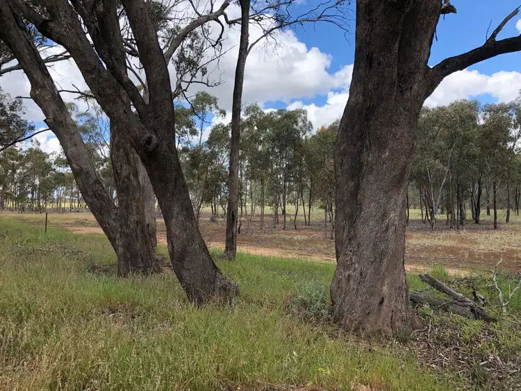 Sixth view of Homely land listing, 20 Maxwells Lane, Korong Vale VIC 3520