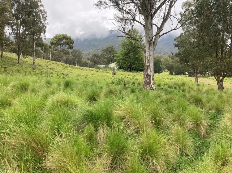 Main view of Homely rural property listing, 'The Bluff' 1034 (Lot 101) Roma Road, Merriwa NSW 2329
