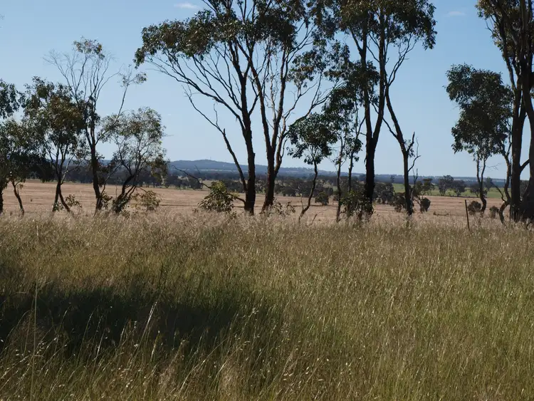 Sixth view of Homely land listing, LOT 1 Corner Wedderburn Junction East Road & Little Mount Road, Fiery Flat VIC 3518