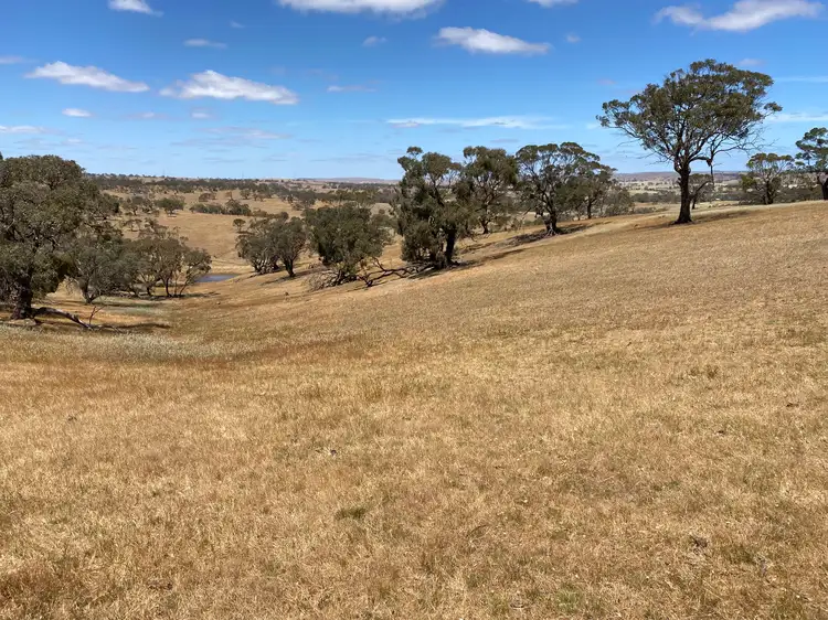 547 Keyneton Estate Road, Keyneton SA 5353