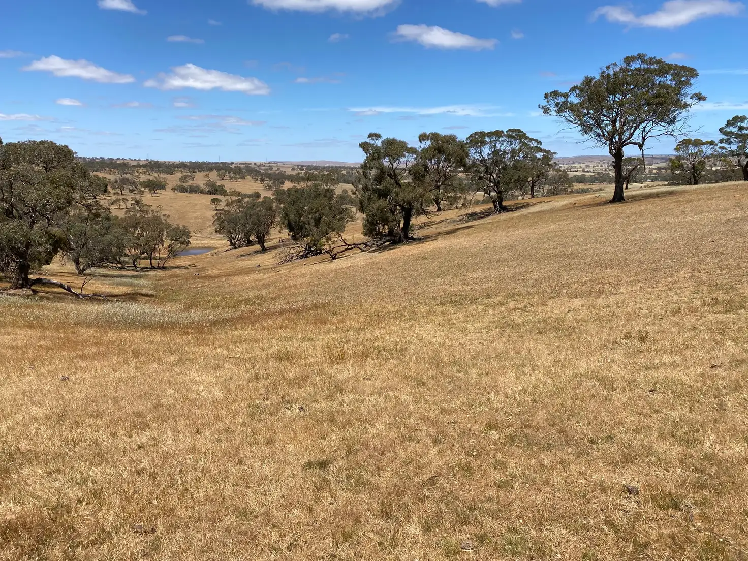 Main view of Homely rural property listing, 547 Keyneton Estate Road, Keyneton SA 5353