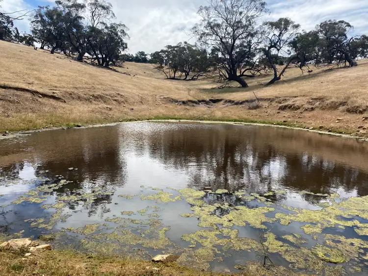 Second view of Homely rural property listing, 547 Keyneton Estate Road, Keyneton SA 5353
