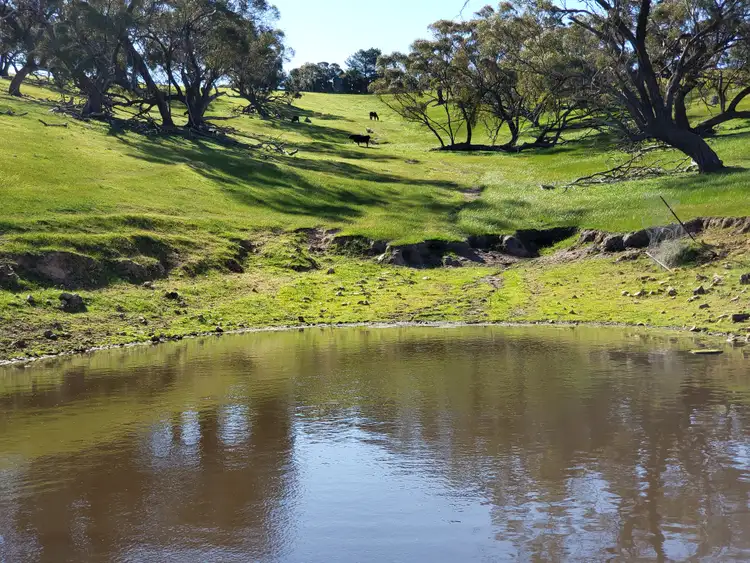 Third view of Homely rural property listing, 547 Keyneton Estate Road, Keyneton SA 5353