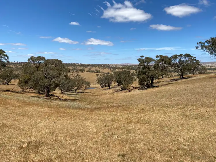 Fifth view of Homely rural property listing, 547 Keyneton Estate Road, Keyneton SA 5353