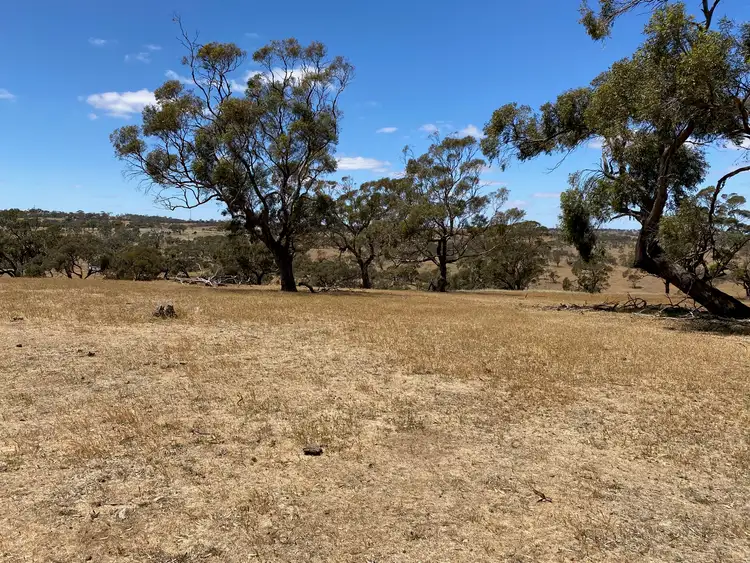 Sixth view of Homely rural property listing, 547 Keyneton Estate Road, Keyneton SA 5353
