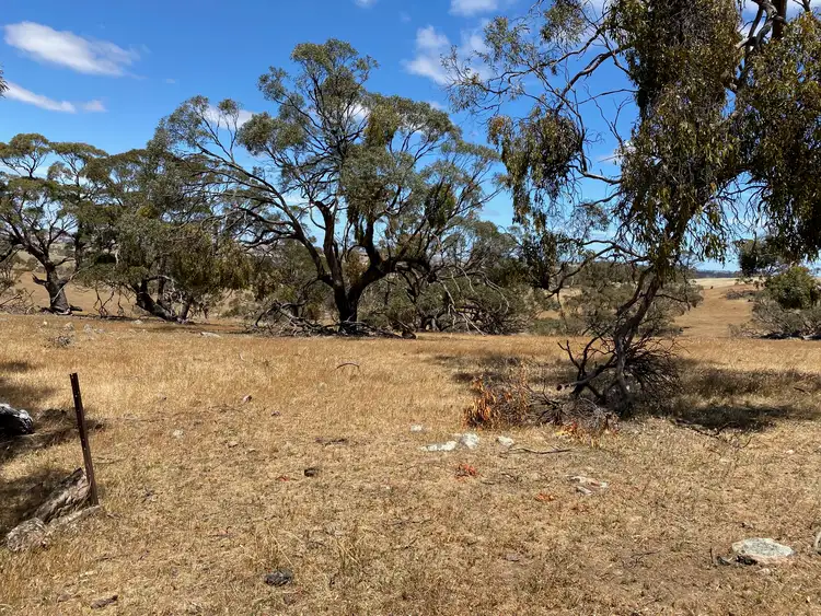 Seventh view of Homely rural property listing, 547 Keyneton Estate Road, Keyneton SA 5353